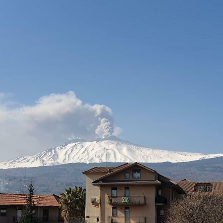 Appartamento Agrumi リングアグロッサ エクステリア 写真